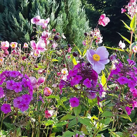 Nordseeferienhaus Peter شقة